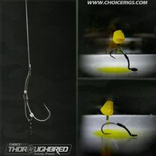 Load image into Gallery viewer, ⭐NEW UFB OPTION⭐ "Thoroughbred" ADVANCED Revolver Rig