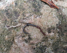 Load image into Gallery viewer, carp rigs blowback rigs