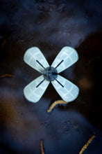 Load image into Gallery viewer, Spyder Spod - night glow bait rocket